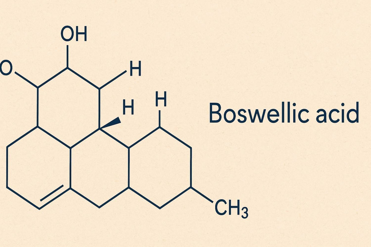 Boswellic Acid in Skincare: The Next Big Anti-Inflammatory Hero? - Pnk Beauty