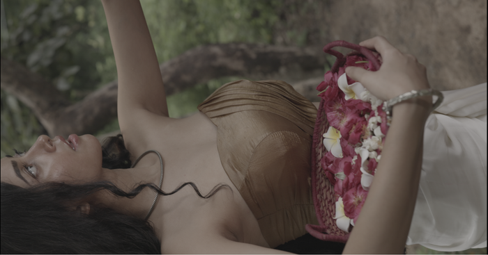 traditional indian skincare ingredients