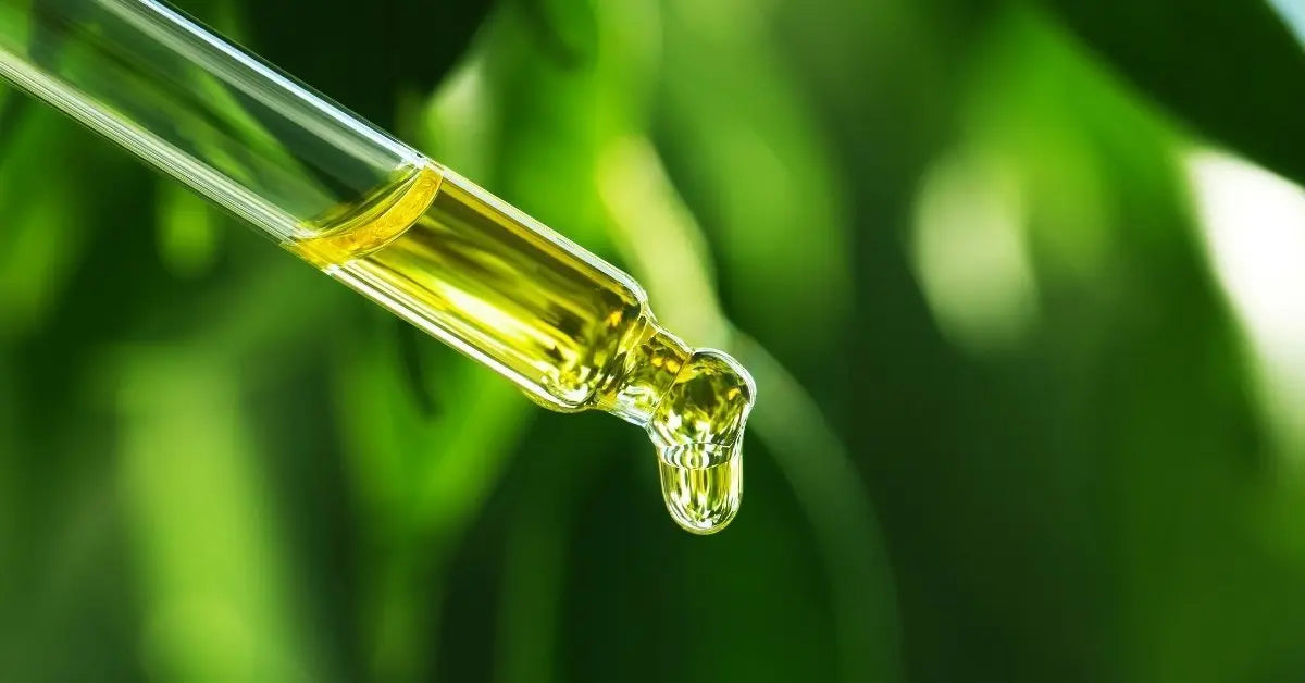 Why CO₂ Extracts are the Future of Skincare – Inside Face Panacea Elixir - Pnk Beauty